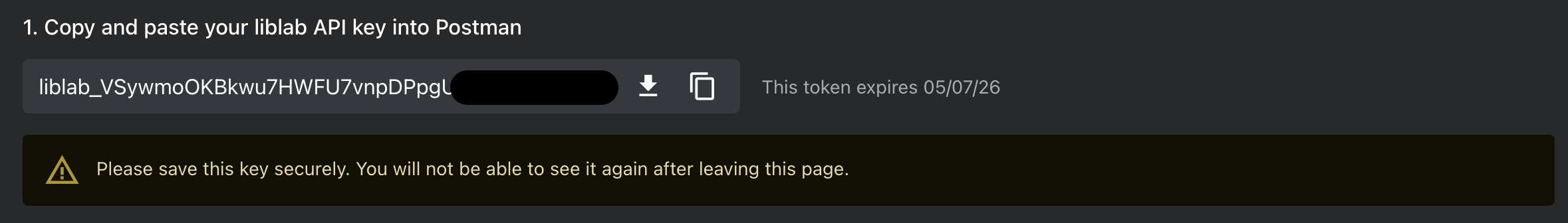 A screenshot demonstrating what a generated API token looks like